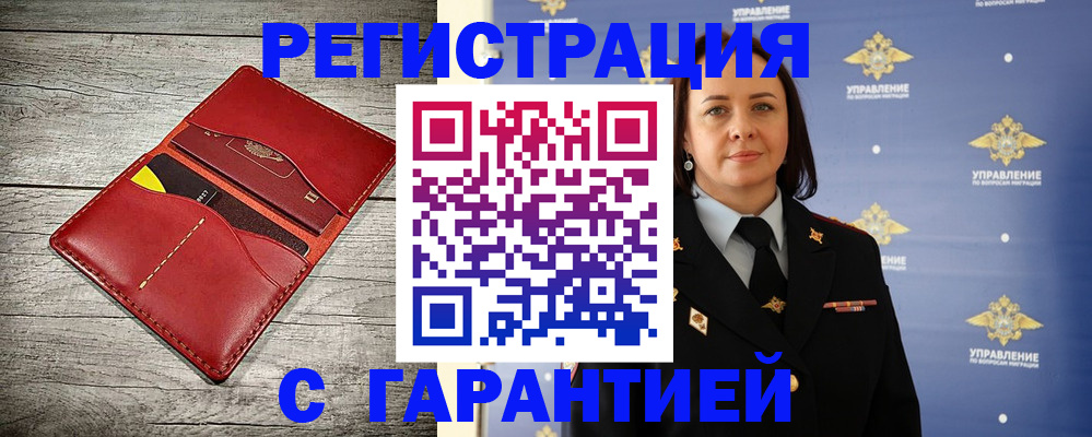 прописка поиск в Кингисеппе